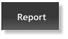 Report Report